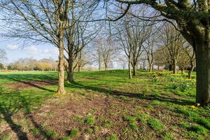 Photo 34- click for photo gallery